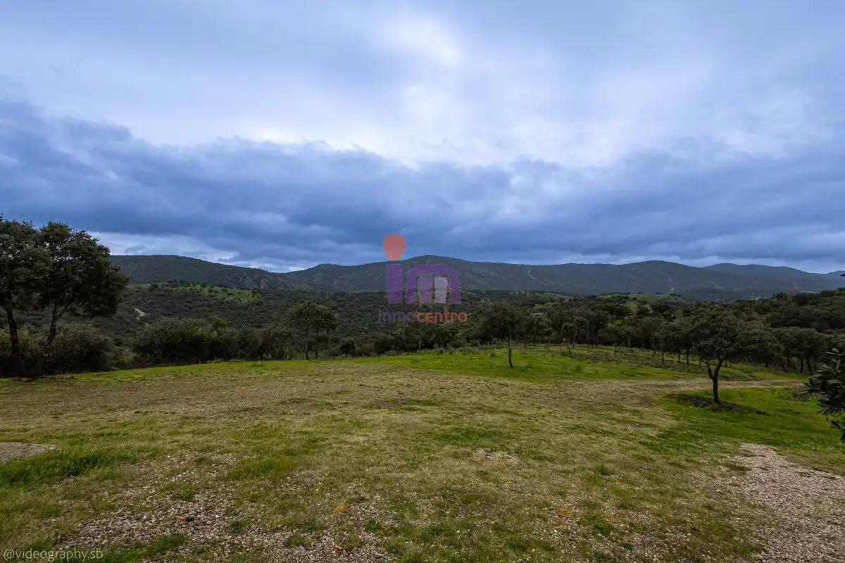 Finca rústica en venta en San Lorenzo de Calatrava