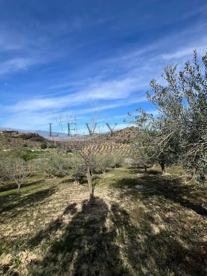 Terreno rustico in vendita a Guaro, imagen 7