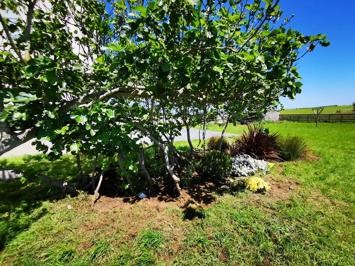Residencial en venda en Tapia de Casariego