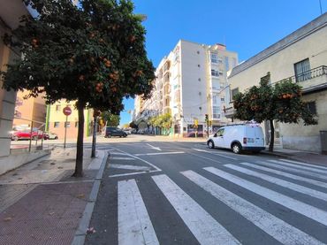 Wohnung zur Miete in San Antonio