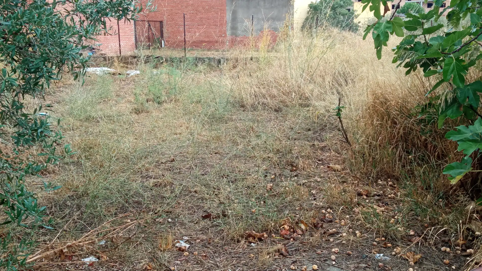 Terreni e lotti in vendita a Calle Matalasganas, imagen 2