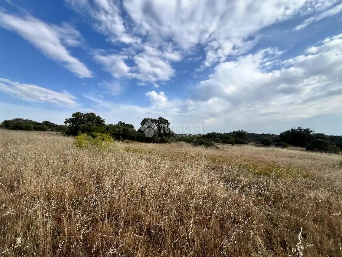 Terreno en venta en Santa Ana de Pusa