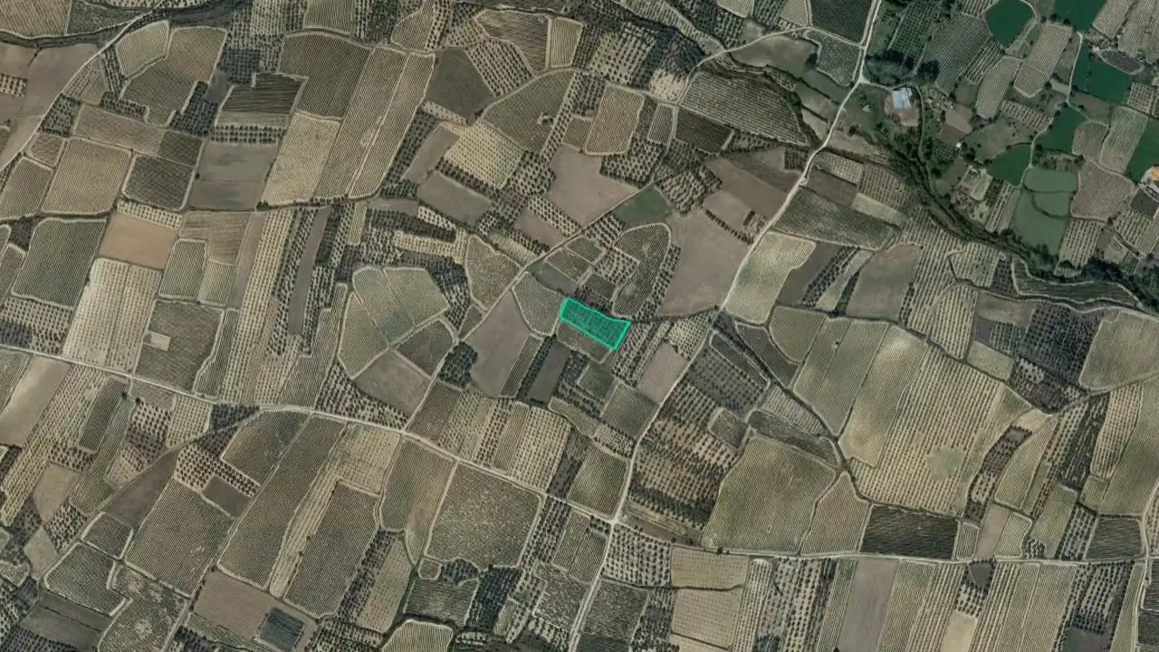 Terreno rustico in vendita a Partida Travieso