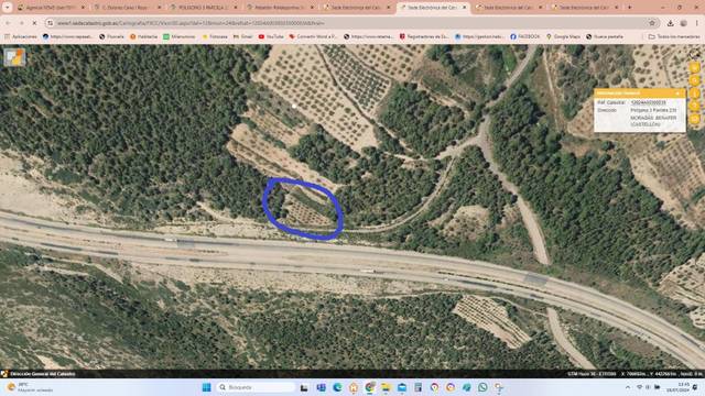 Finca rústica en Venta en Pavías