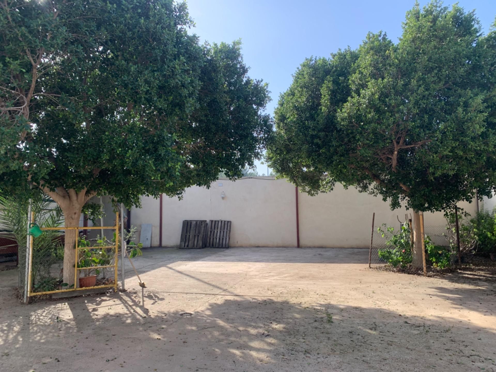 Jardí de Casa o xalet en venda en  Murcia Capital amb Jardí privat i Traster