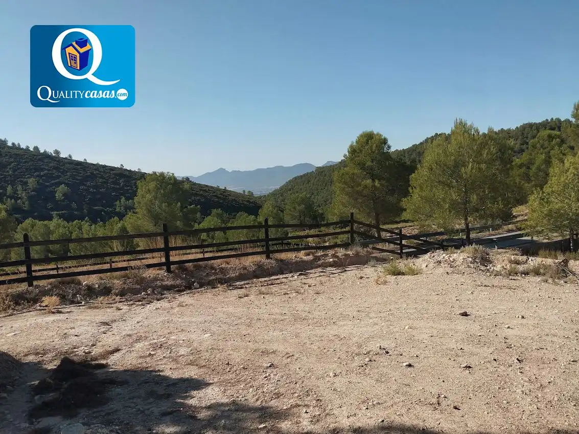 Terrenys i solars en venda a Onil