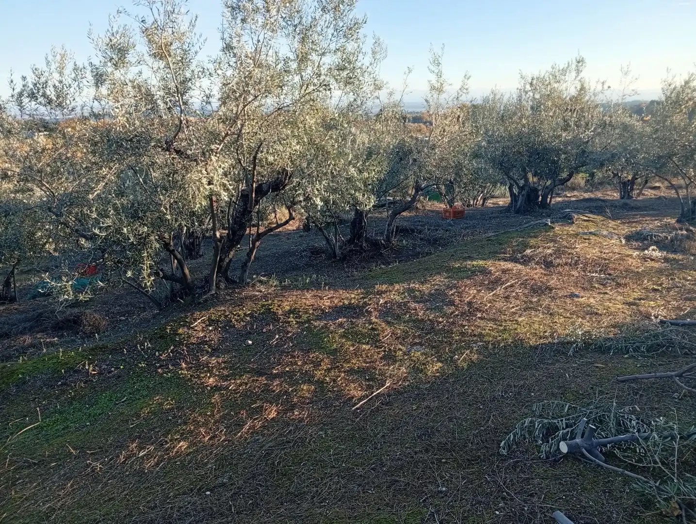 Terreni e lotti in vendita a Villanueva de la Vera, imagen 71