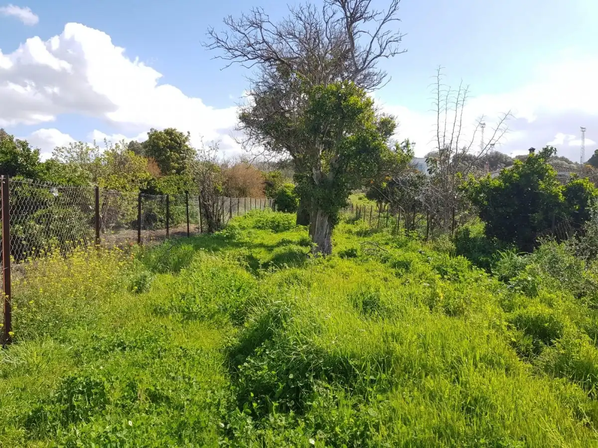 Terreno en venta en Barbate