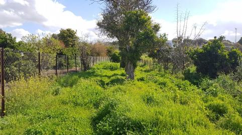 Foto 3 de Terreno en venta en Barbate ciudad, Cádiz