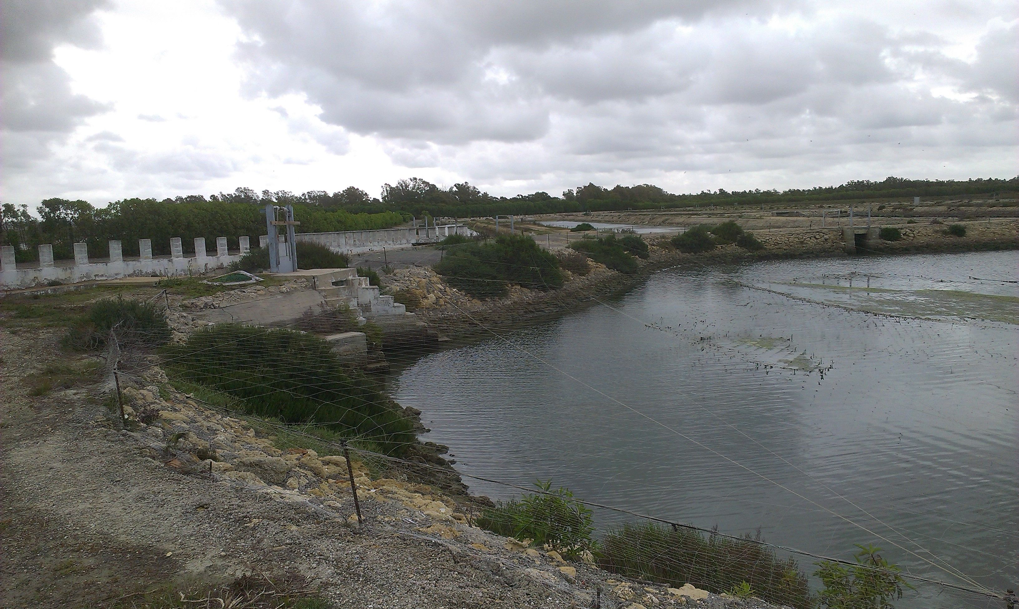 Exterior view of Land for sale in San Fernando