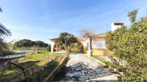 Foto 5 de Terreno en venta en Diseminado Diseminados, 815, Cartaya, Huelva