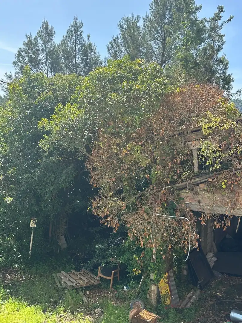 Finca rústica en venda a Balsareny, Barcelona