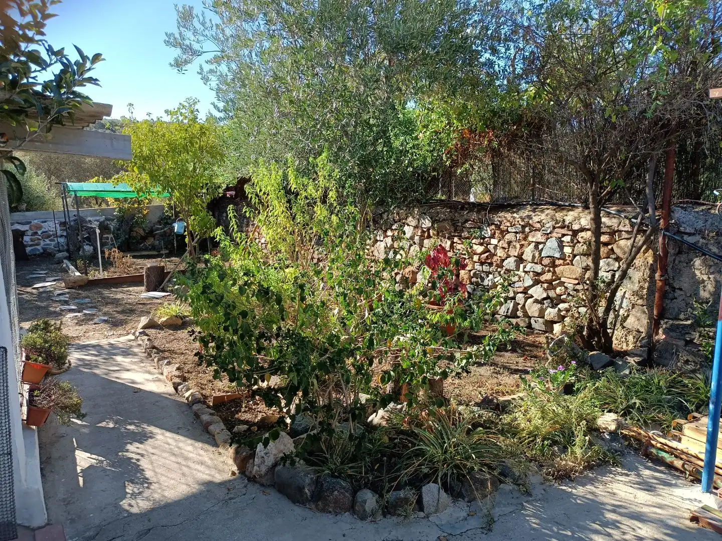 Jardín de Casa o chalet en venta en Campofrío con Calefacción, Jardín privado y Terraza