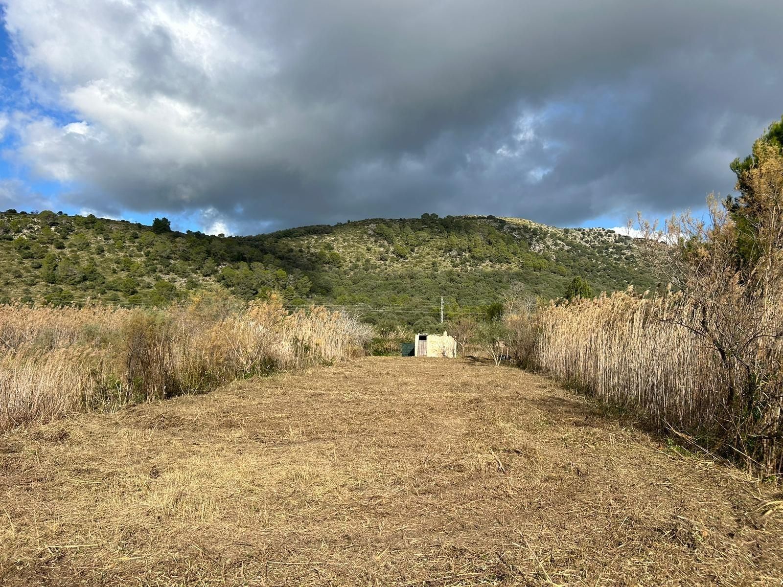 Land for sale in Sa Pobla