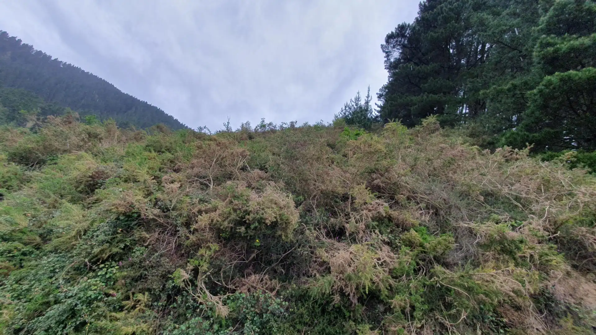 Land for sale in Laudio / Llodio
