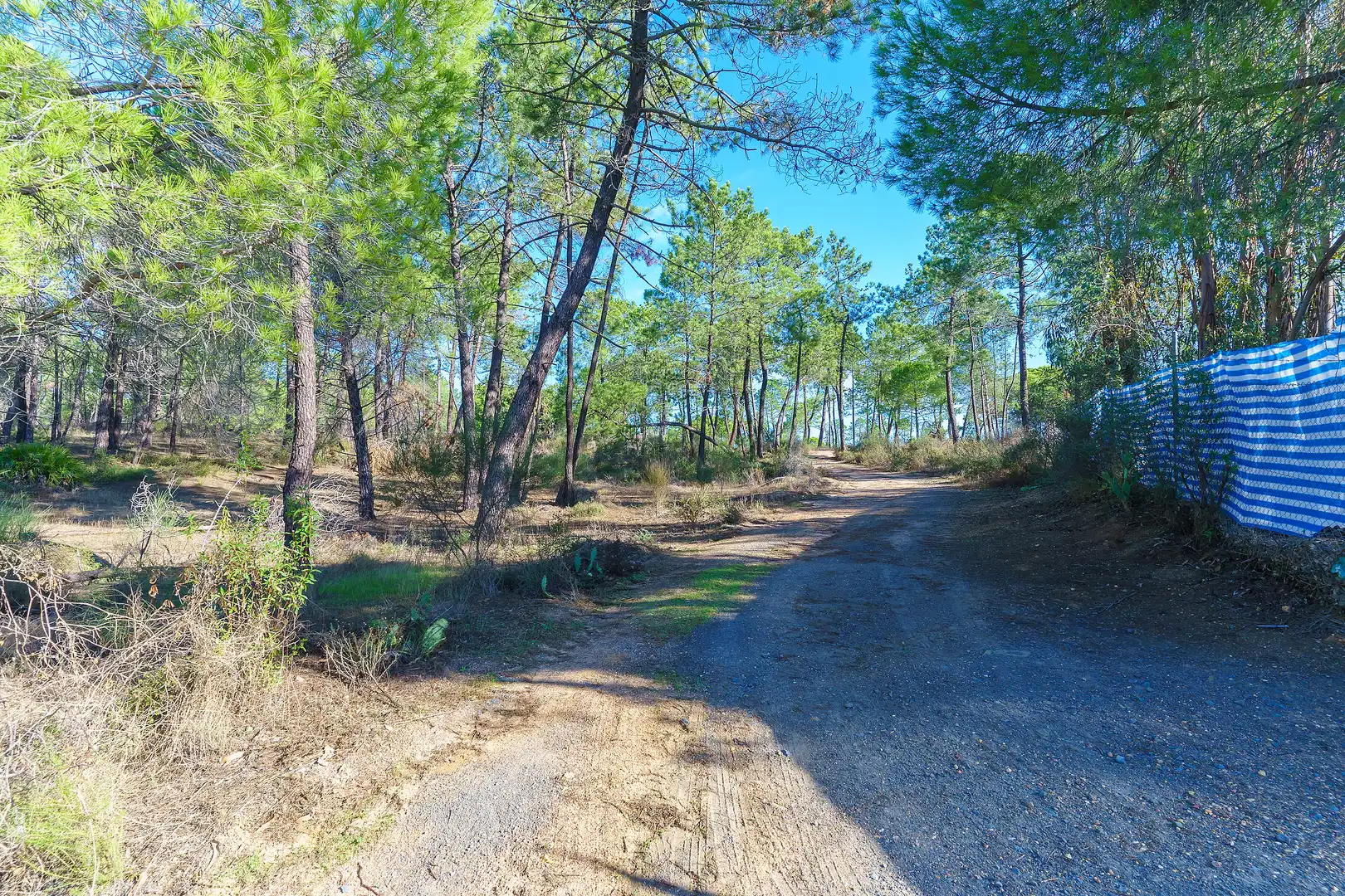 Finca rústica en venta en Villablanca