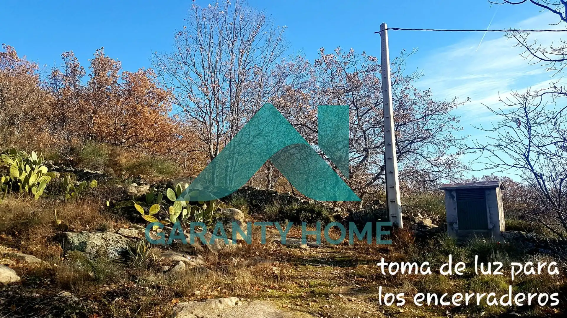 Finca rústica en venta en Aldeanueva de la Vera