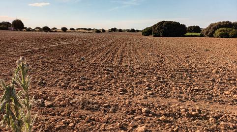 Photo 5 of Land for sale in Centro - Plaza Mayor, Ciudad Real