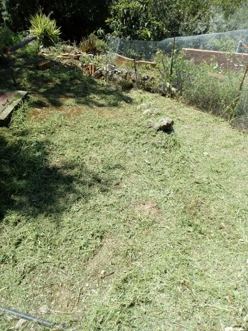 Casa rústica en venda a Comares, imagen 22