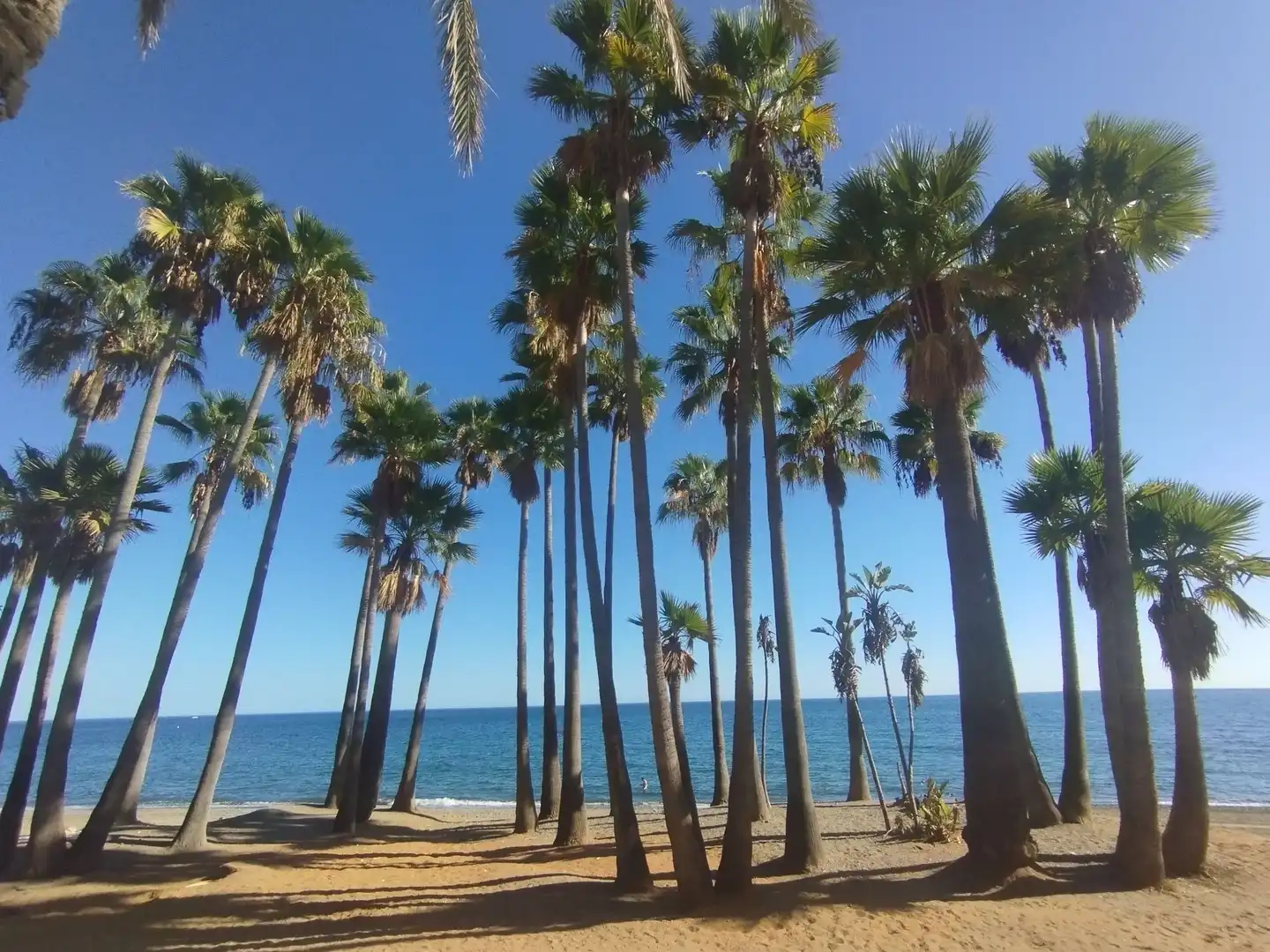 Apartment with lift for sale in San Pedro de Alcántara, imagen 19