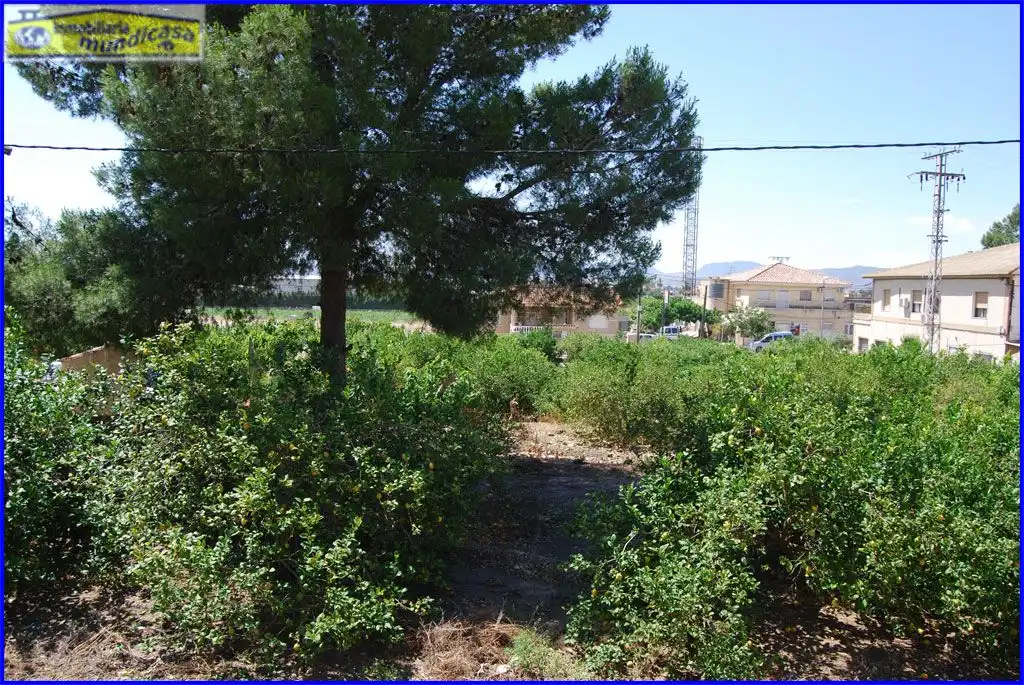 Casa o xalet en venda en Orihuela amb Jardí privat, Terrassa i Piscina