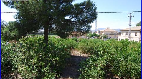 Foto 5 de Casa o chalet en venta en Montepinar - La Aparecida - Raiguero, Alicante