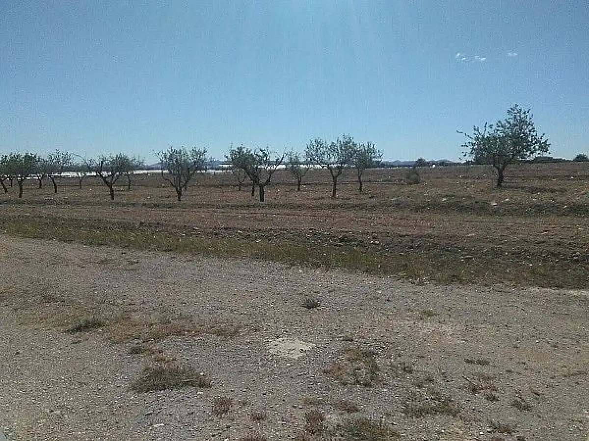 Finca rústica en venda a La Aljorra