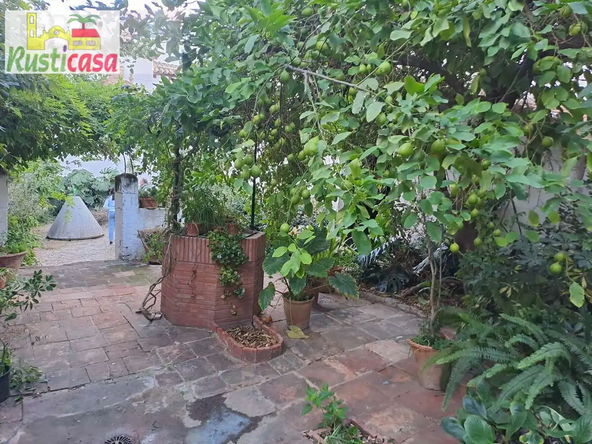 Maison avec terrasse à vendre à Cristobal Colon, imagen 3