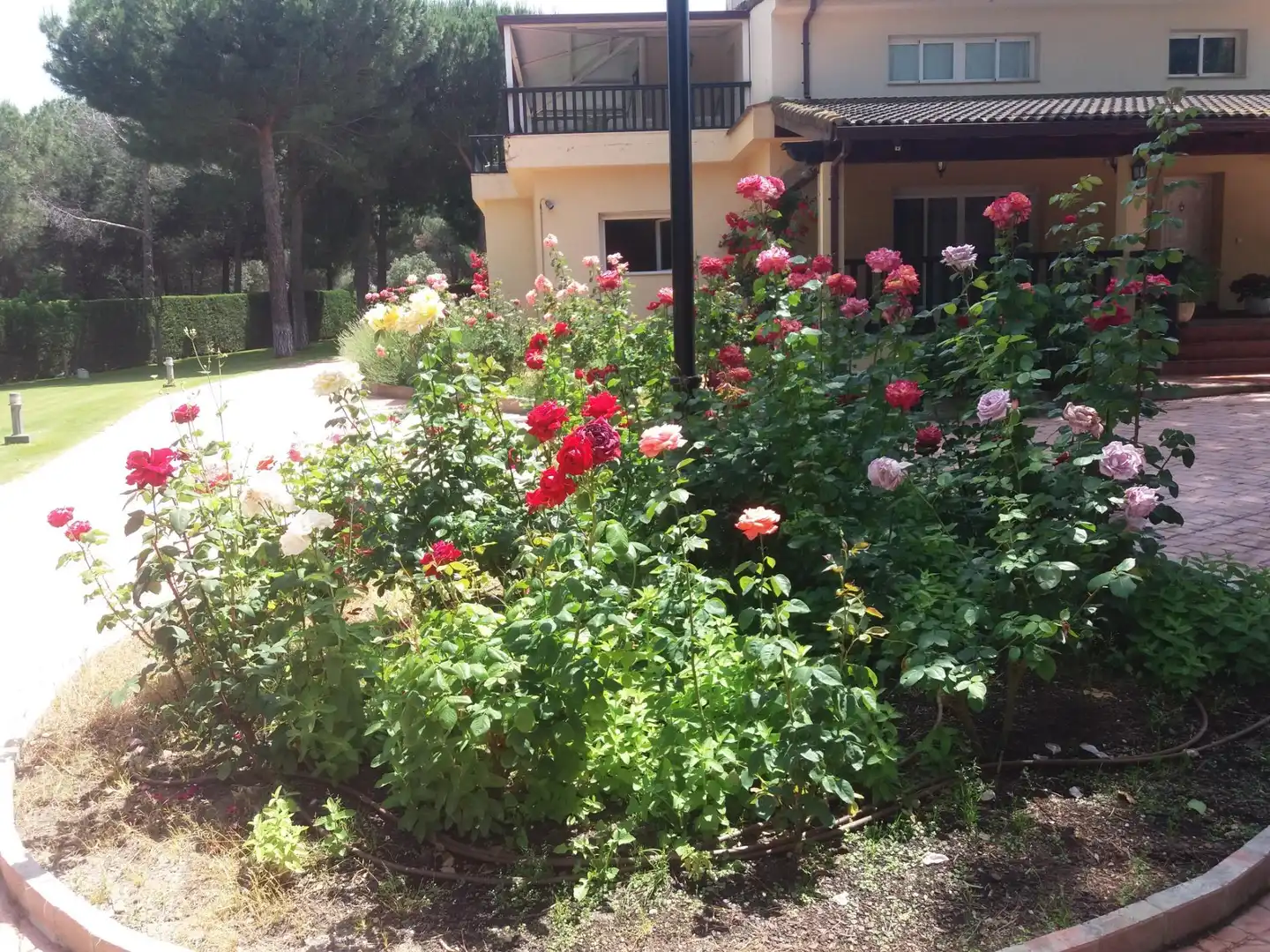 Chalet con piscina en venta en Laguna de Duero, imagen 24
