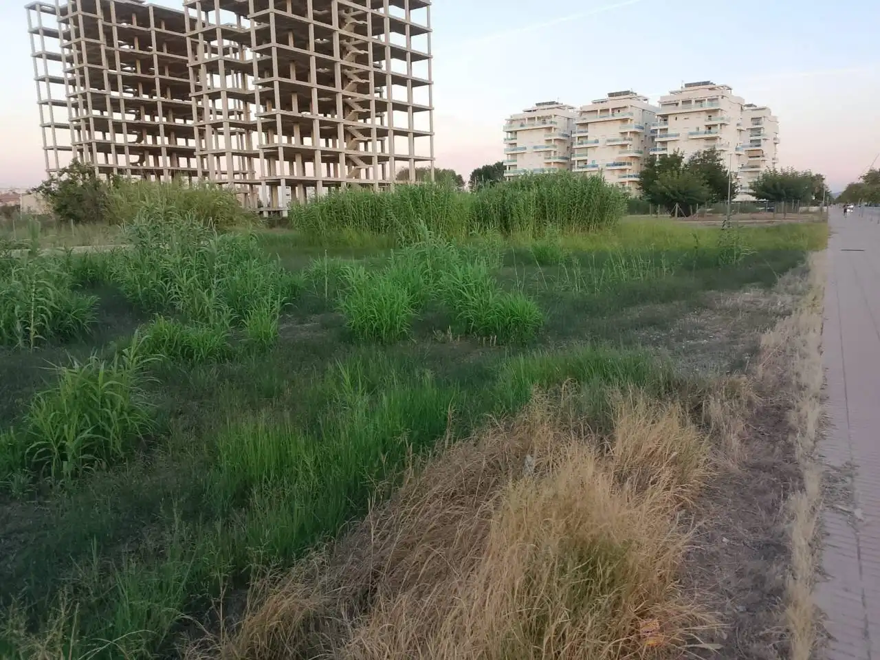 Residential land for sale in Calle Ronda Oest, imagen 4
