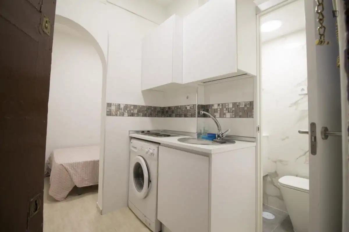 Estudio de alquiler en Universidad - Malasaña