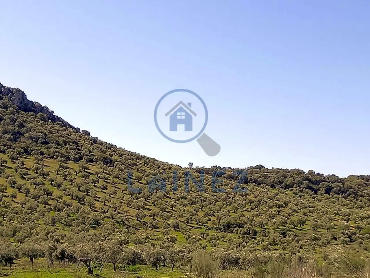 Terreny residencial en venda a Belmez, imagen 10