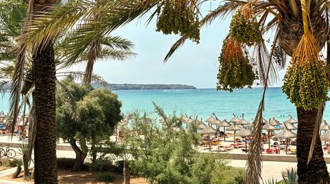 Foto 5 de Apartament en venda a Les Maravelles,  Palma de Mallorca