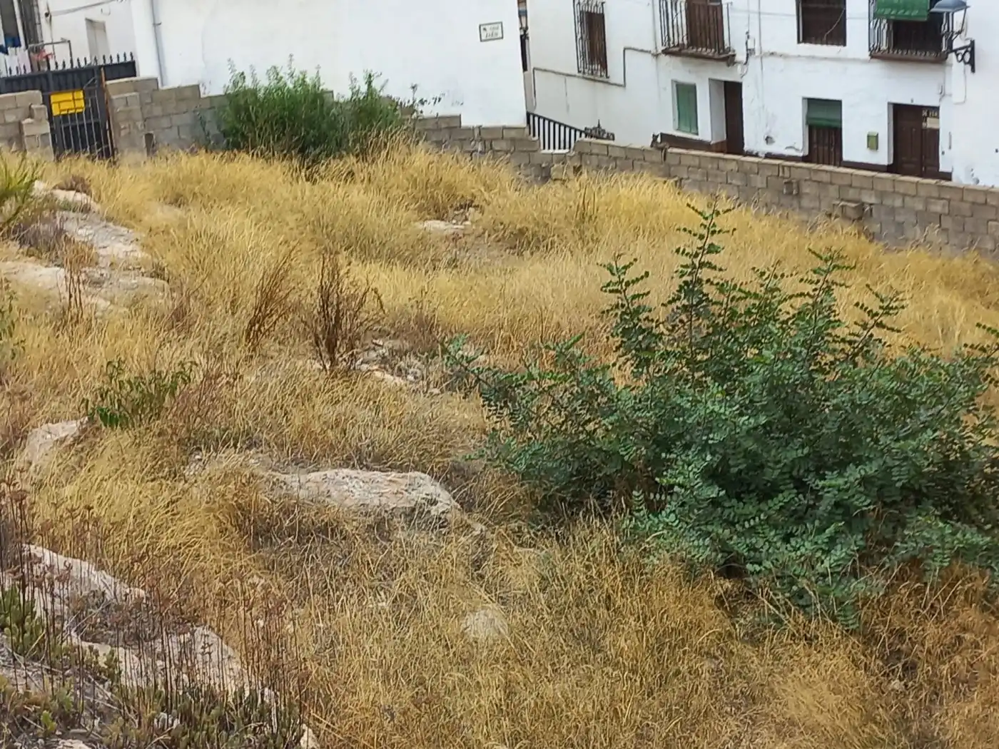 Terrenys i solars en venda a Albuñol, imagen 4