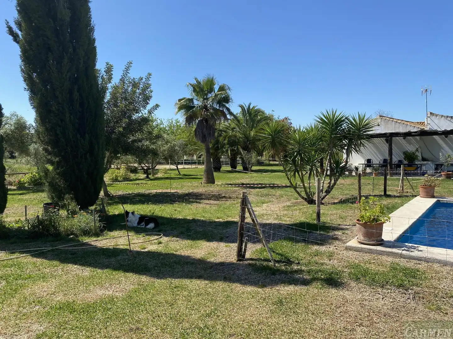 Finca rústica en venda en Jerez de la Frontera amb Traster