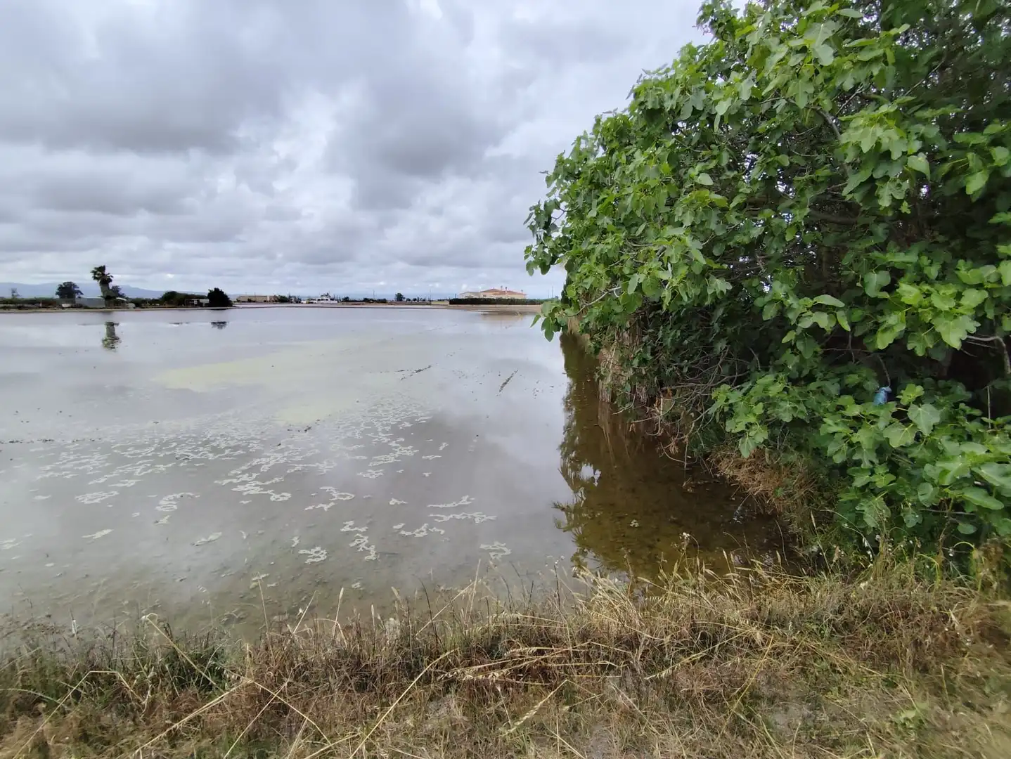 Terreny rústic en venda a Calle canalet de les salines partida bordiset, imagen 4