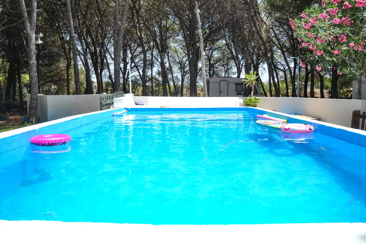 Swimming pool of Country homes for sale in Chiclana de la Frontera