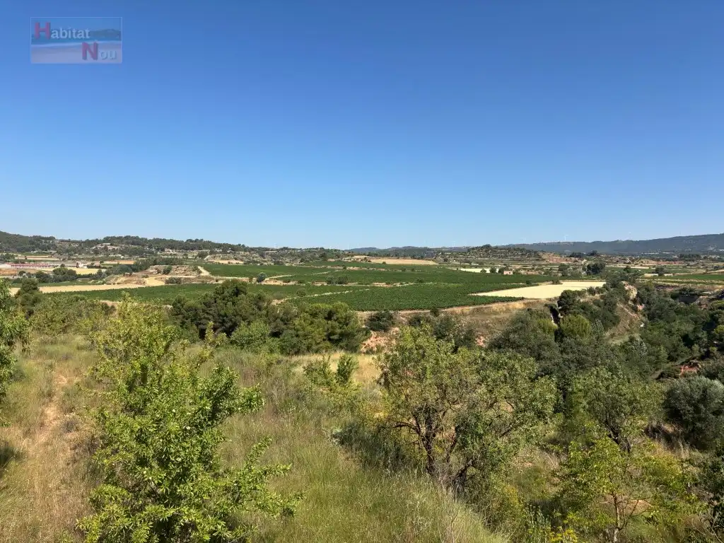 Country homes for sale in Carretera Cabra Del Camp Ua15, Sarral