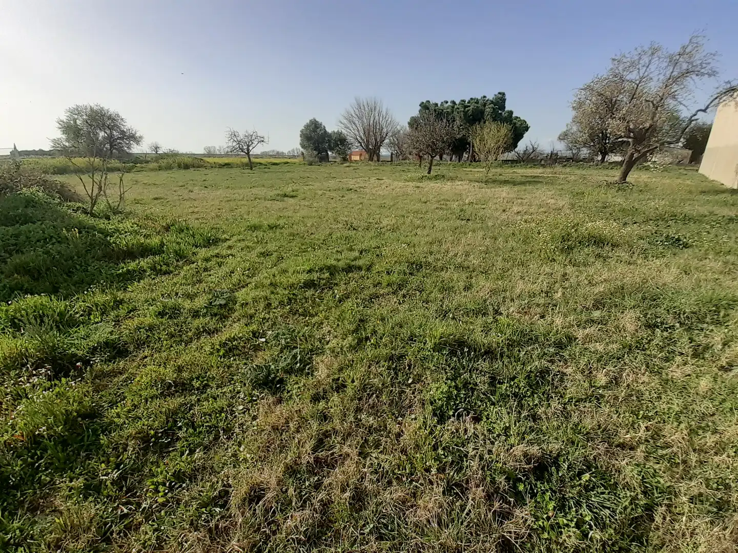 Residential for sale in El Perdigón 