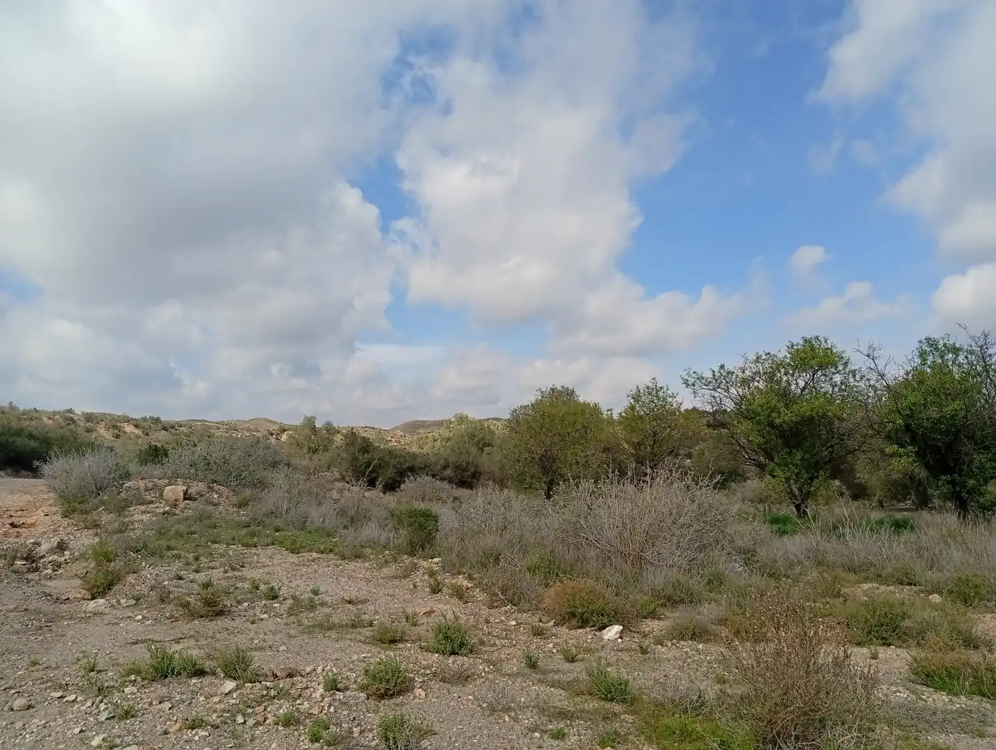 Terreny en venda a Rambla La Higuera, Albox