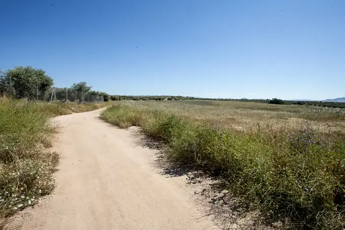 Terreni e lotti in vendita a Sc S6-S13 - Camino Fuente Cordel -, imagen 8