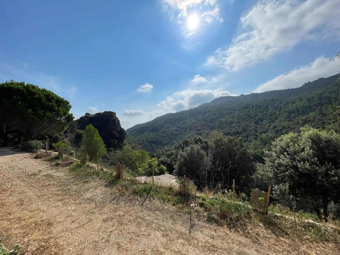 Casa o xalet en venda a CONCA DE SANT JULIA, Alfara de Carles