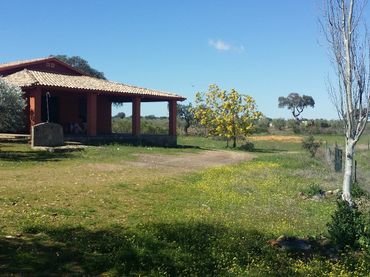 Terreno residenziale in vendita a Peñarroya-Pueblonuevo