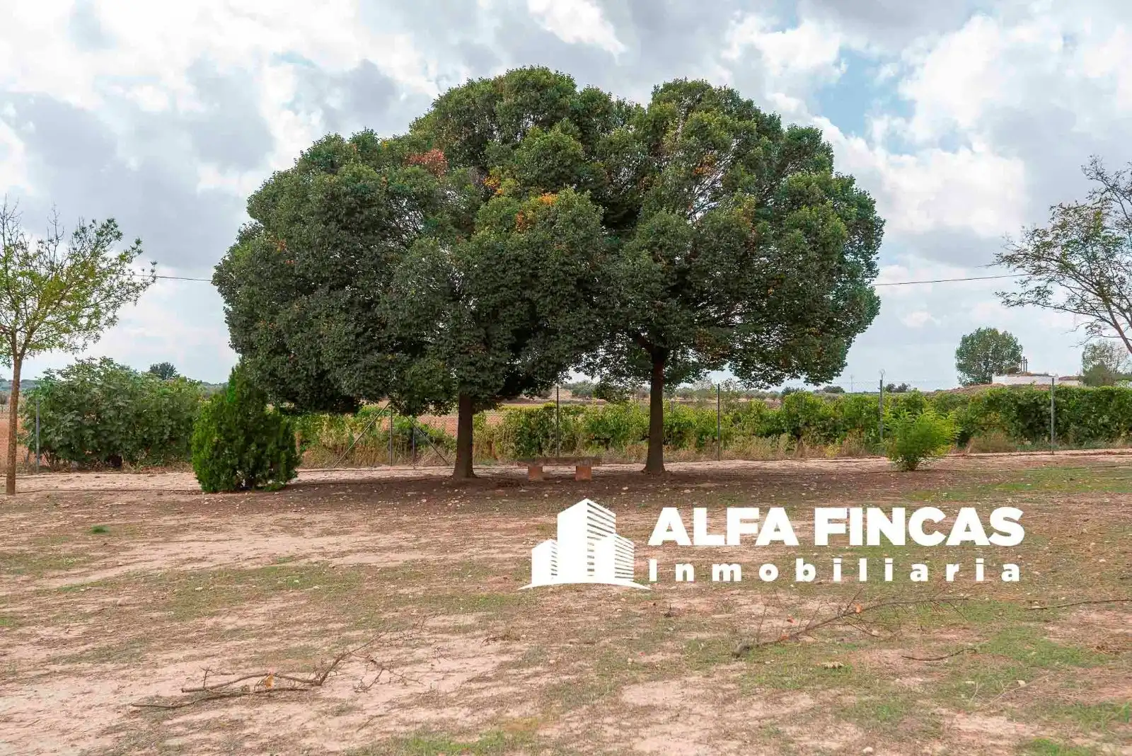 Casa o chalet en venta en Vara de Rey con Calefacción, Terraza y Piscina
