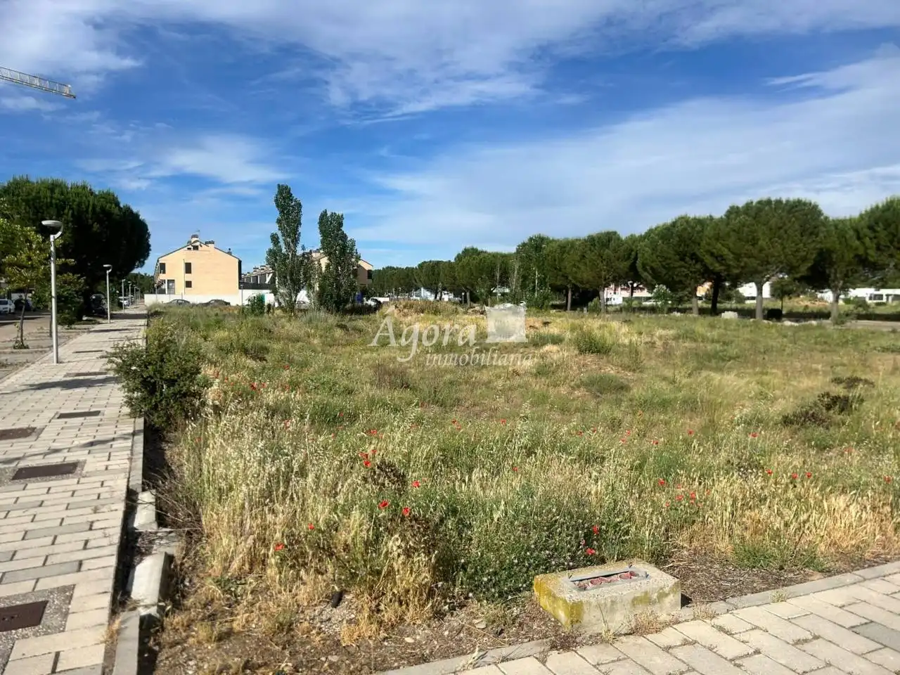 Reihenhaus mit Garten zum Verkauf in Calle Fuente de la Fama 17, imagen 6