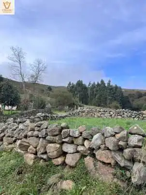 Vista exterior de Finca rústica en venta en Luena 