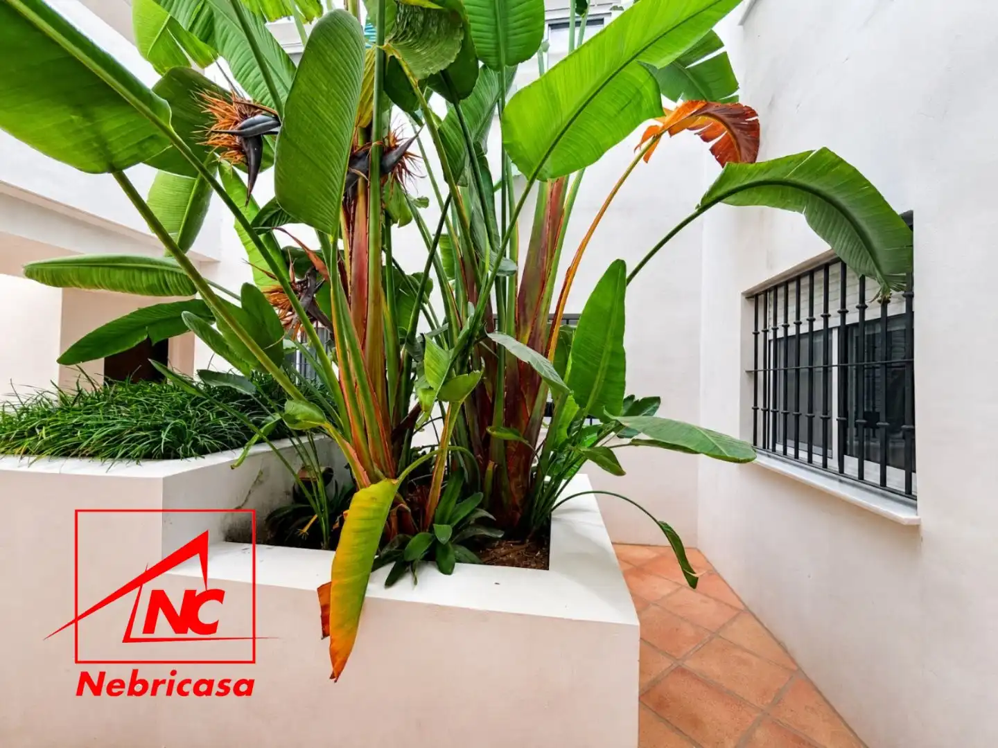 Terraza de Piso en venta en Chipiona con Aire acondicionado, Terraza y Trastero