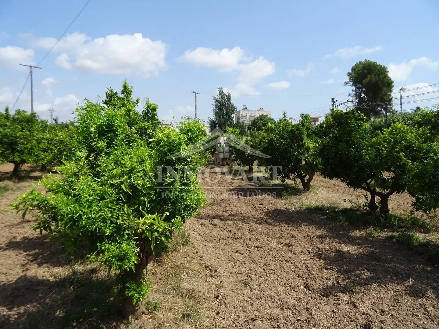 Terreno rústico en venta en Algemesí, imagen 4