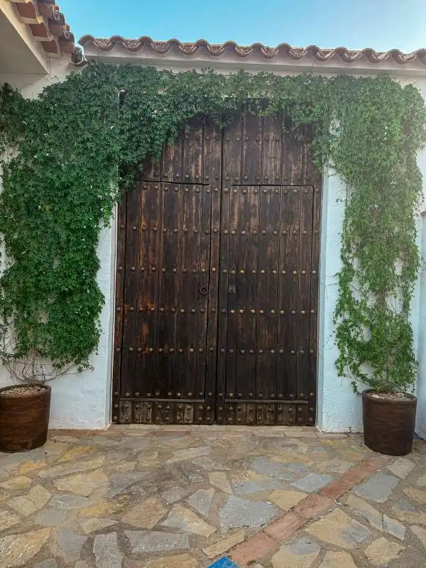 Vista exterior de Casa o xalet en venda en Algodonales amb Aire condicionat, Calefacció i Jardí privat