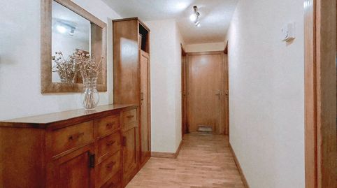 PISO ORDIZIA